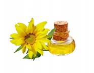 Sonnenblumenl, BIO, desodoriert, 1. Pressung, 10 ltr. DAVERT im Kunststoffkanister 